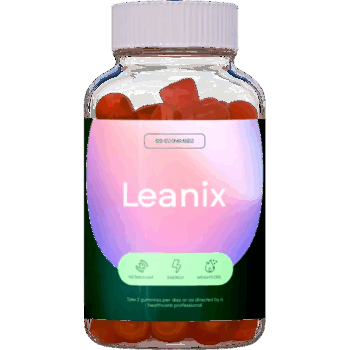 leanix