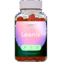 Leanix